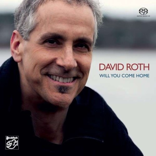 David Roth - Will You Come Home (2014) (Lossless + MP3)