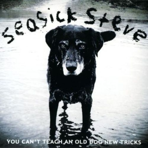 Seasick Steve - You Can't Teach An Old Dog New Tricks 2011 (Lossless+Mp3)