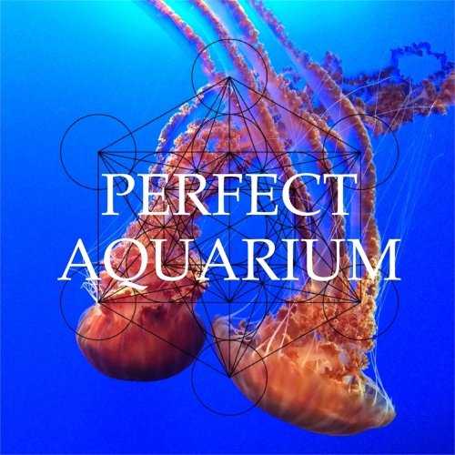 Perfect Aquarium - Perfect Aquarium (2015) (Lossless + Mp3)