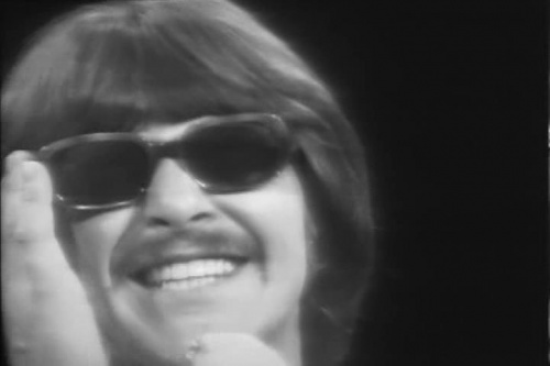 VA - Wild Thing - The 60's DVD Jukebox (2003) TVRip