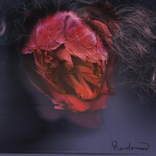 Panjabys - Randomood (2015)