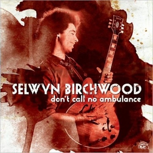 Selwyn Birchwood - Don't Call No Ambulance 2014