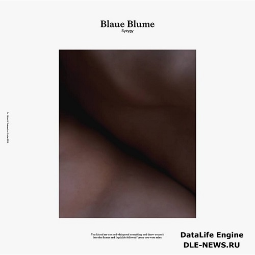 Blaue Blume - Syzygy (2015)