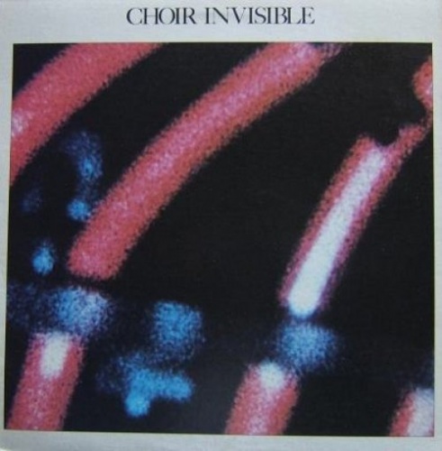 Choir Invisible &#8206;- Choir Invisible (1981)