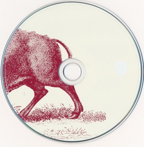 Foo Fighters - In Your Honor (2CD 2005) Lossless + mp3