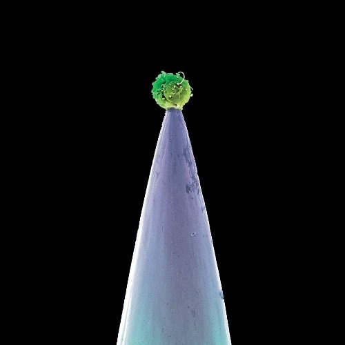 Peter Gabriel - New Blood (Special Edition) 2CD 2011