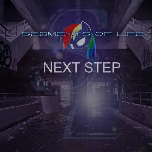 Segments Of Life - Next Step (2016)