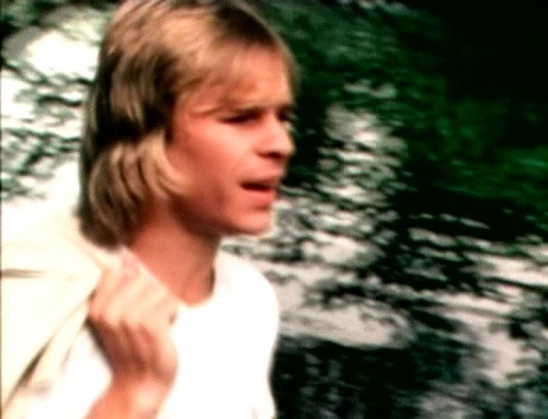VA - Video Disco Collection (2006) SATRip