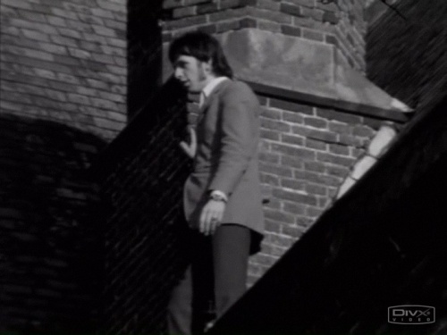 VA - Nederpop.vol.1(1965-1979) (2005) DVDRip