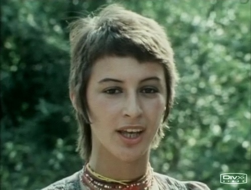 VA - Nederpop Vol.2 (1965-1979) (2004) DVDRip