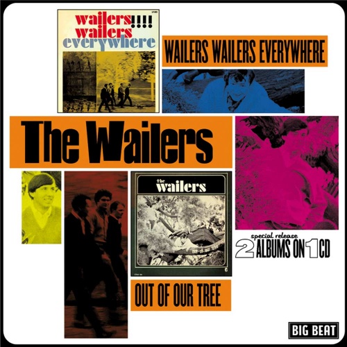 The Wailers - Wailers Wailers Everywhere/Out Of Our Tree (1964-65) (2003) Lossless