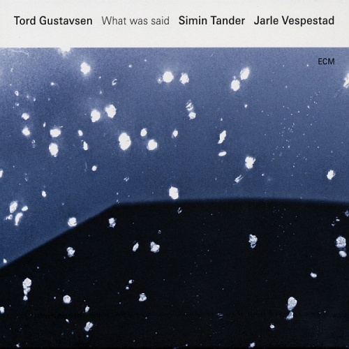 Tord Gustavsen with Simin Tander and Jarle Vespestad - What Was Said (2016) lossless