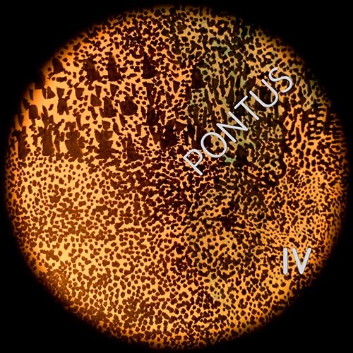 Pontus - IV (EP) (2016)