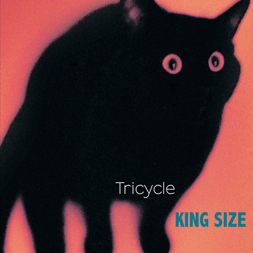Tricycle - King Size (2012) Lossless