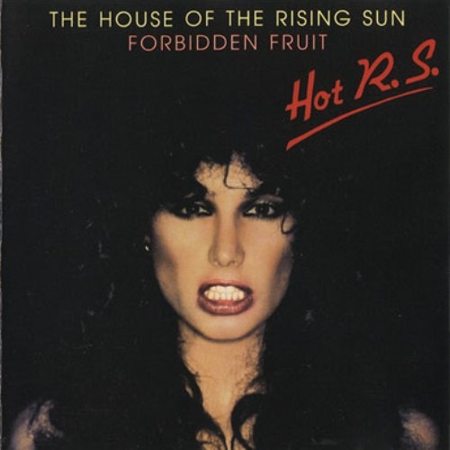 Hot R.S. - Discography [9CD] (1977-2003) [Lossless+Mp3]