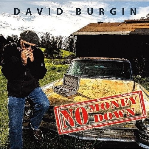 David Burgin - No Money Down  (2016) LOSSLESS