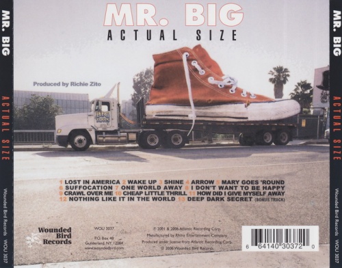 Mr.Big - Actual Size (2001)