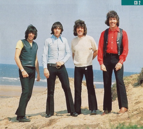 Tremeloes - Boxed (4CD Set) (2000) Lossless