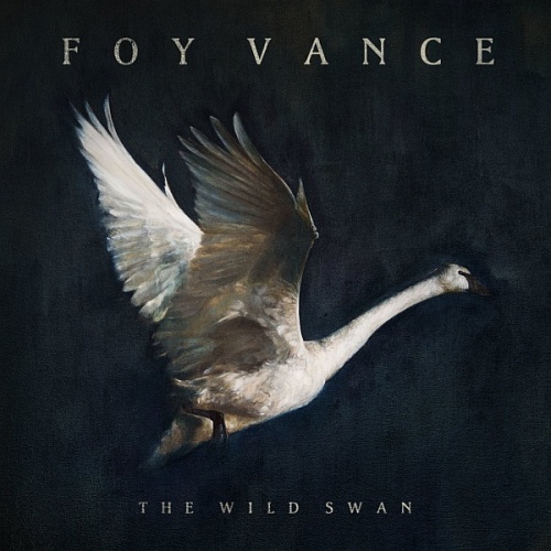 Foy Vance - The Wild Swan (2016) lossless