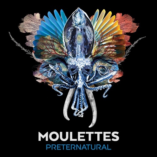 Moulettes - Preternatural (2016) lossless