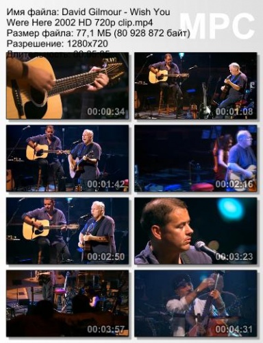 David Gilmour - Wish You Were Here 2002 (Live)
