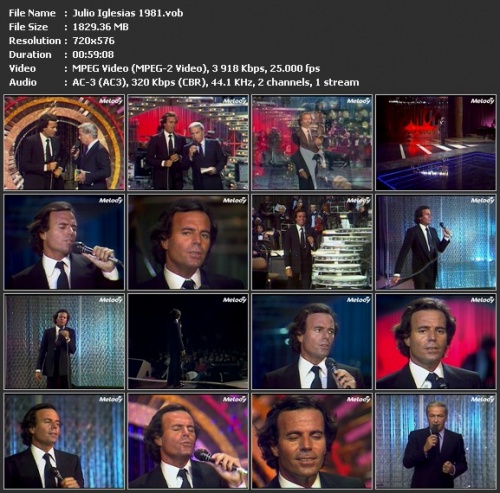Julio Iglesias - Hit Melody (1981)