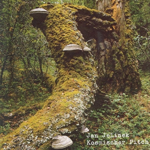 Jan Jelinek - Kosmischer Pitch (2005)