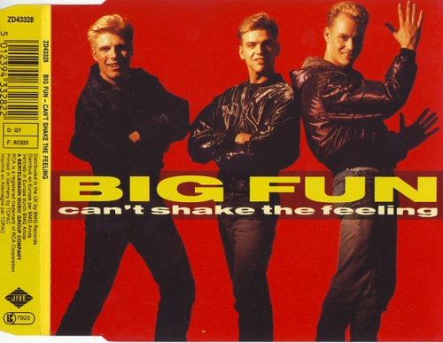 Big Fun - Can't Shake The Feeling (CD, Maxi-Single) 1989 (Lossless)