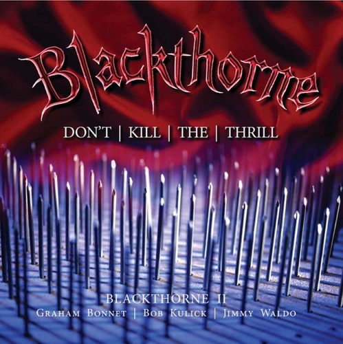 Новый альбом BLACKTHORNE выйдет осенью Новый альбом BLACKTHORNE выйдет осенью