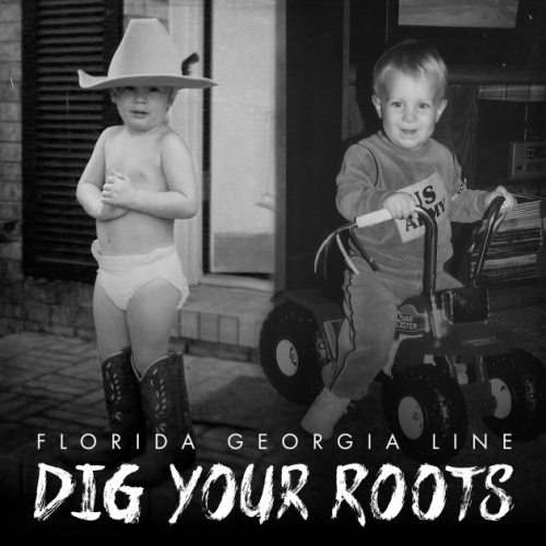 Florida Georgia Line - Dig Your Roots (2016)