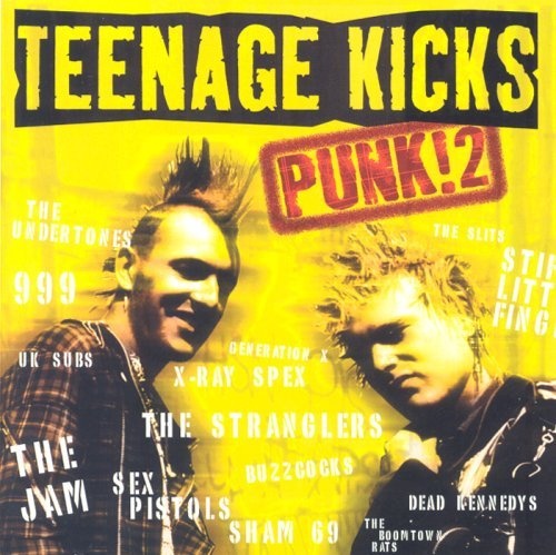 VA - Teenage Kicks Punk! 2 (2001) Lossless+MP3