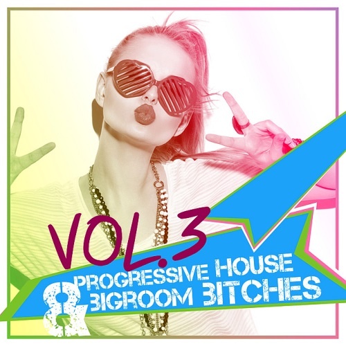 VA - Progressive House & Bigroom Bitches Vol. 3 (2016)