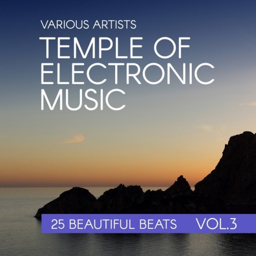 VA - Temple Of Electronic Music: 25 Beautiful Beats Vol.3 (2016)
