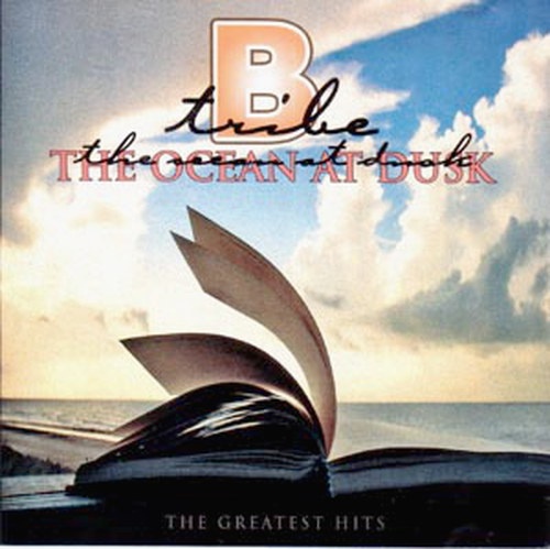 B-Tribe - Higher Octave Music  (2004)[Lossless]