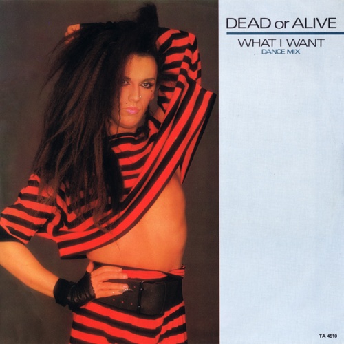 Dead Or Alive - What I Want (Vinyl, 12'') 1984 (Lossless)