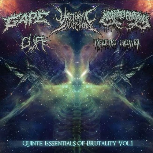 VA - Quinte Essentials of Brutality Vol.1 (Split) 2016