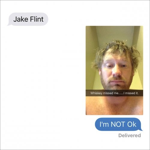 Jake Flint - I'm Not Ok (2016)