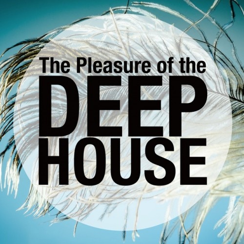 VA - The Pleasure of the Deep House (2016)
