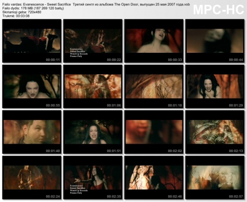 Evanescence - Sweet Sacrifice (2006)