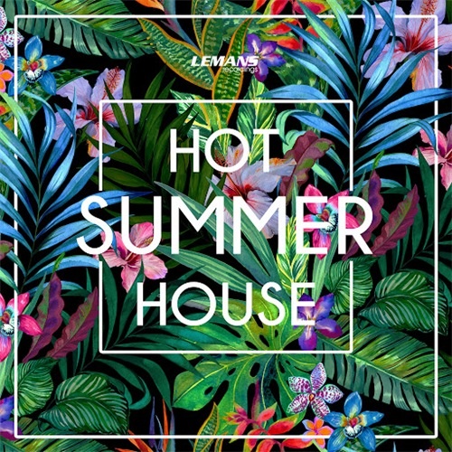 VA - Hot Summer House (2016) Bootleg