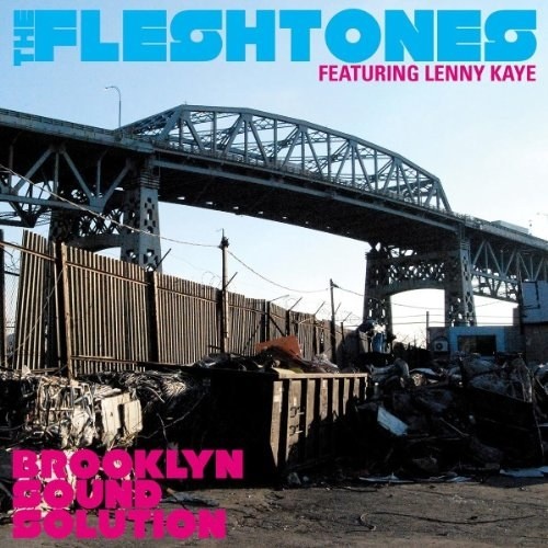 The Fleshtones - Brooklyn Sound Solution (2011)