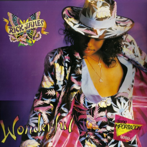 Rick James - Wonderful (1987)