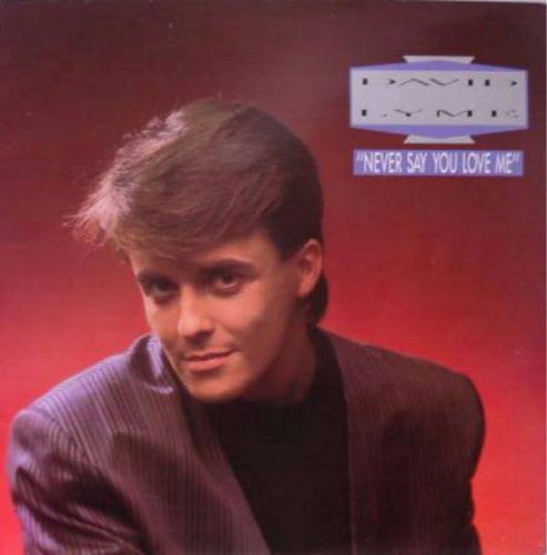 David Lyme - Never Say You Love Me (Vinyl,12'') 1988 (Lossless)