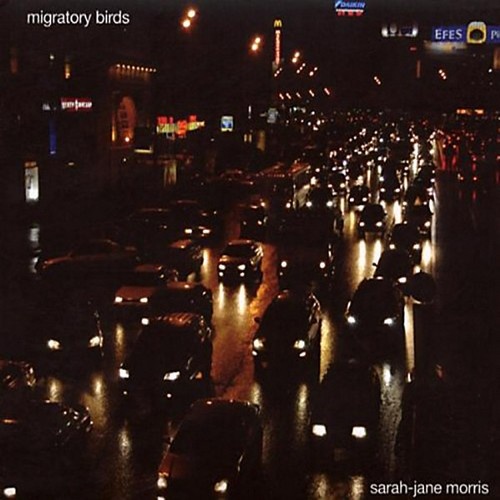 Sarah Jane Morris - Migratory Birds (2008)