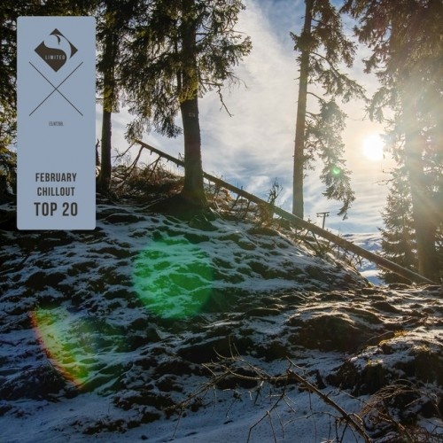 VA - February Chillout Top 20 (2017)