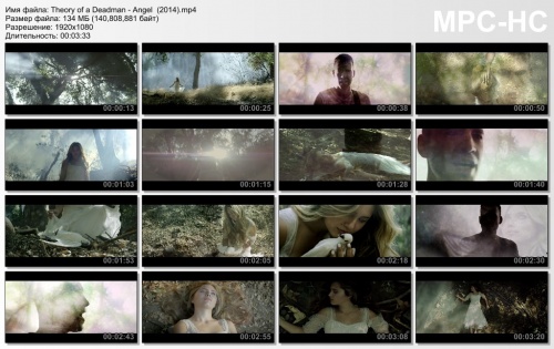 Theory of a Deadman  (2014)
