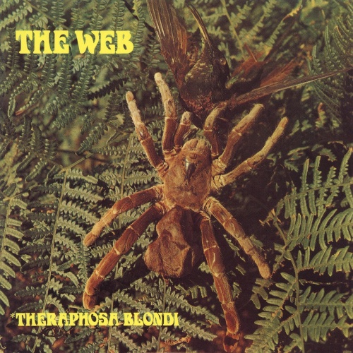 The Web - Theraphosa Blondi 1970 (Remastered - 2008)