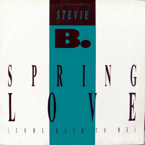 Stevie B. - Spring Love (Come Back To Me) (Vinyl,12'') 1988 (Lossless)