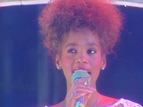 VA - Das beste aus Peter's Pop Show  (2014) DVDRip