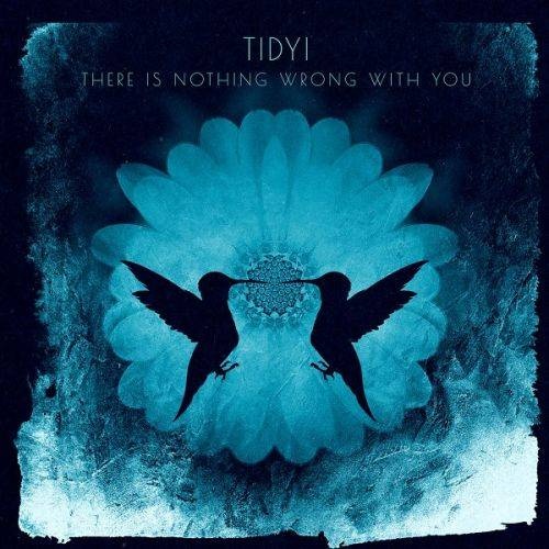 Tidyi - There is Nothing Wrong with You (2017)